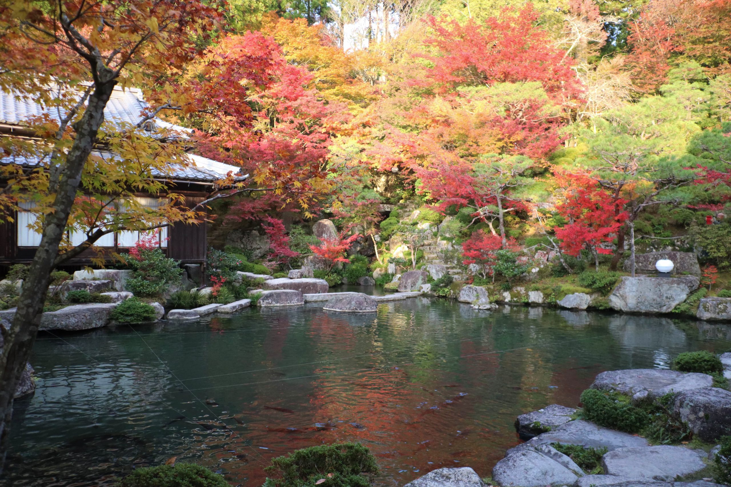 地上の楽園 と称された 湖東三山の一つ 百済寺 で紅葉狩り
